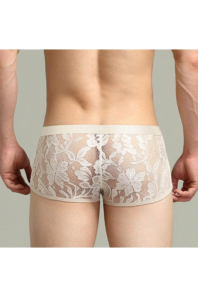 Lace Boxer Briefs