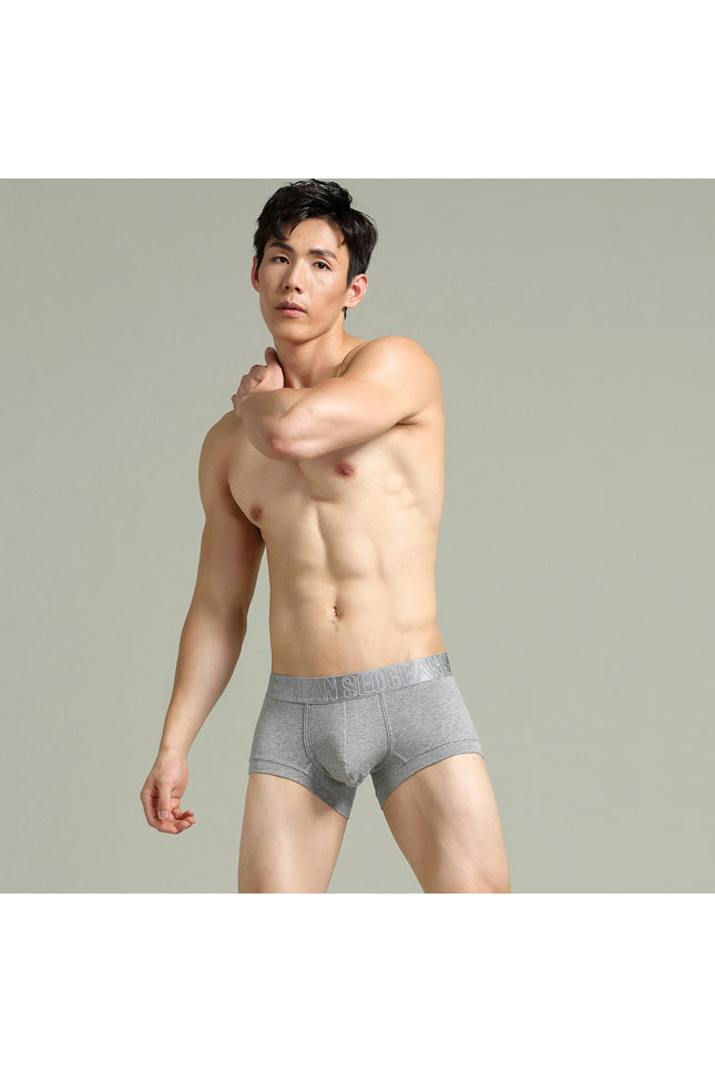 Classic Solid Boxer Briefs