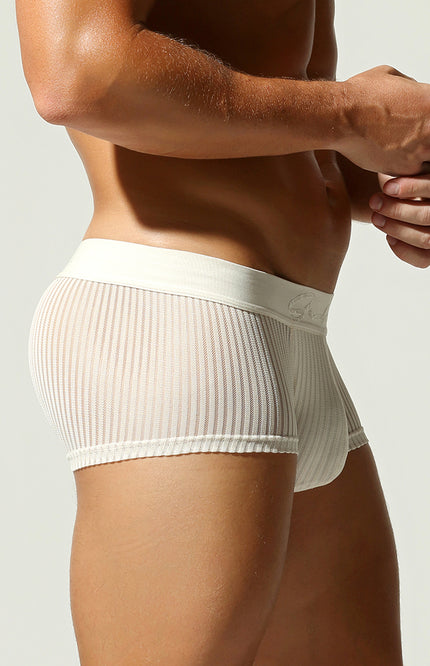 Mesh Low Rise Boxer Briefs