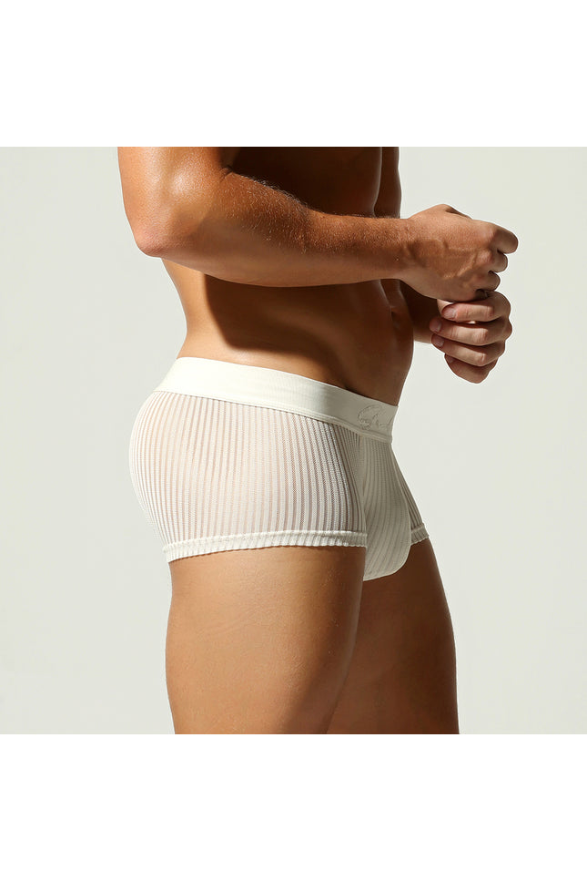 Mesh Low Rise Boxer Briefs