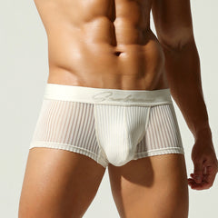 Mesh Low Rise Boxer Brief