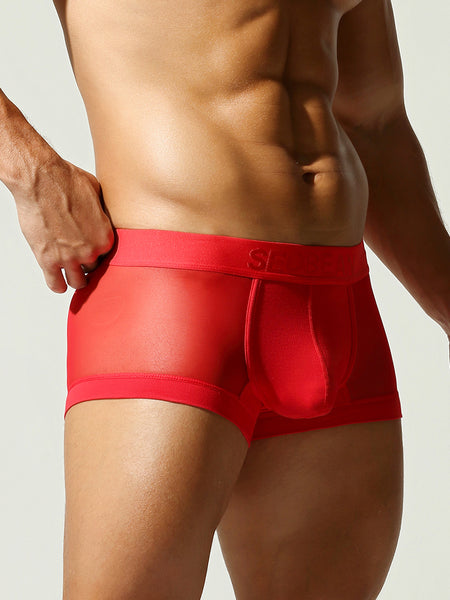 Net Mesh Boxer Briefs