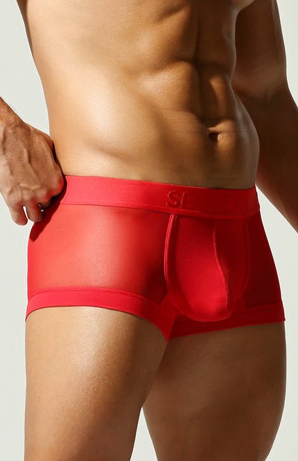 Net Mesh Boxer Briefs