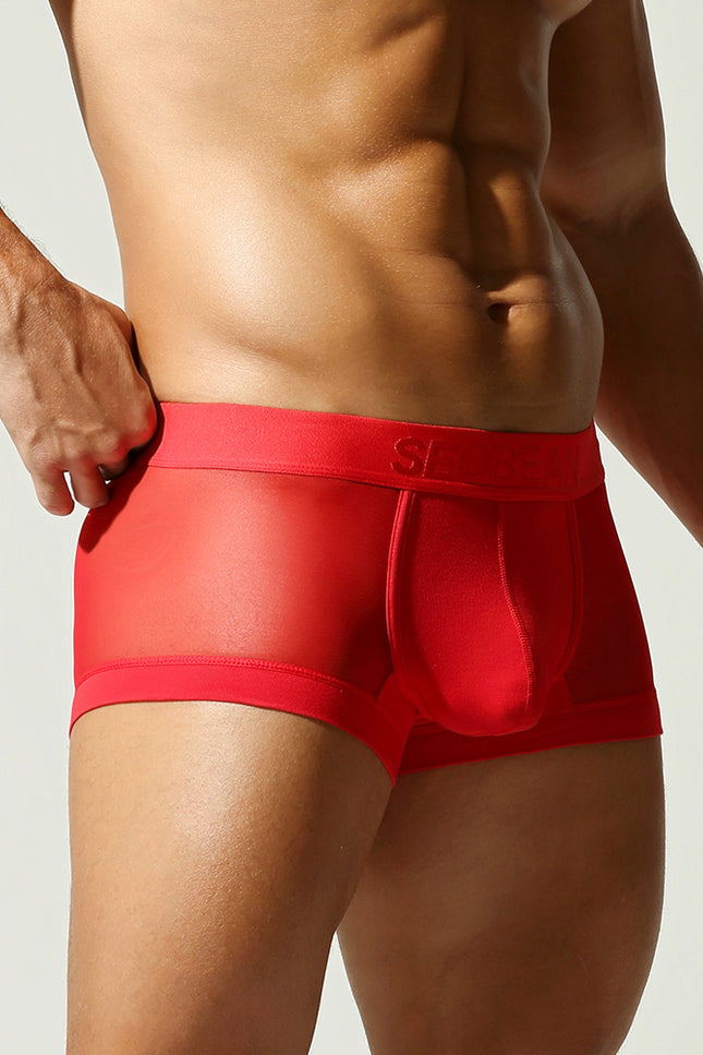 Net Mesh Boxer Briefs