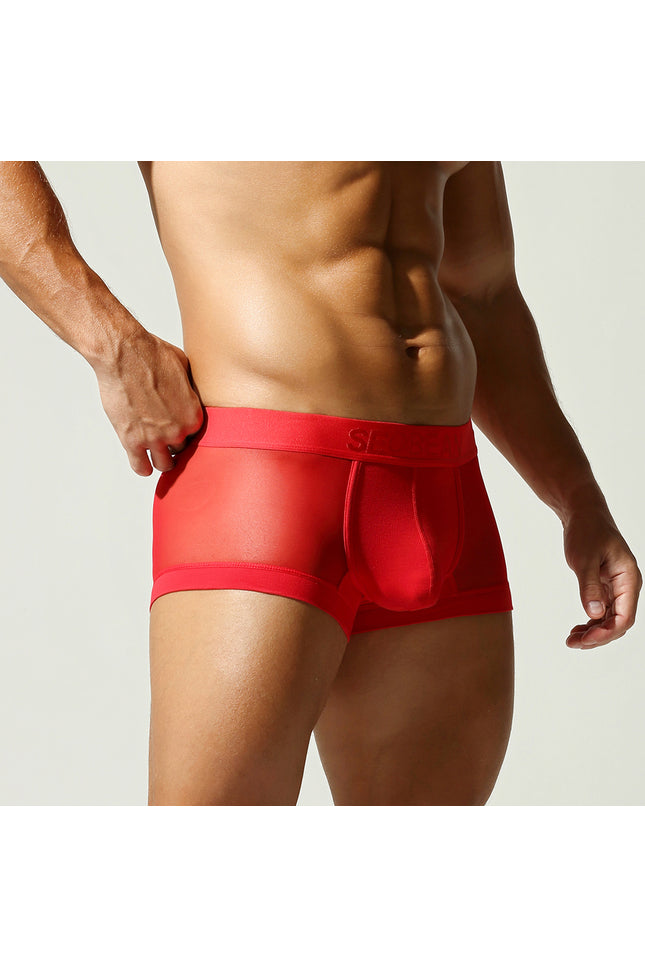Net Mesh Boxer Briefs
