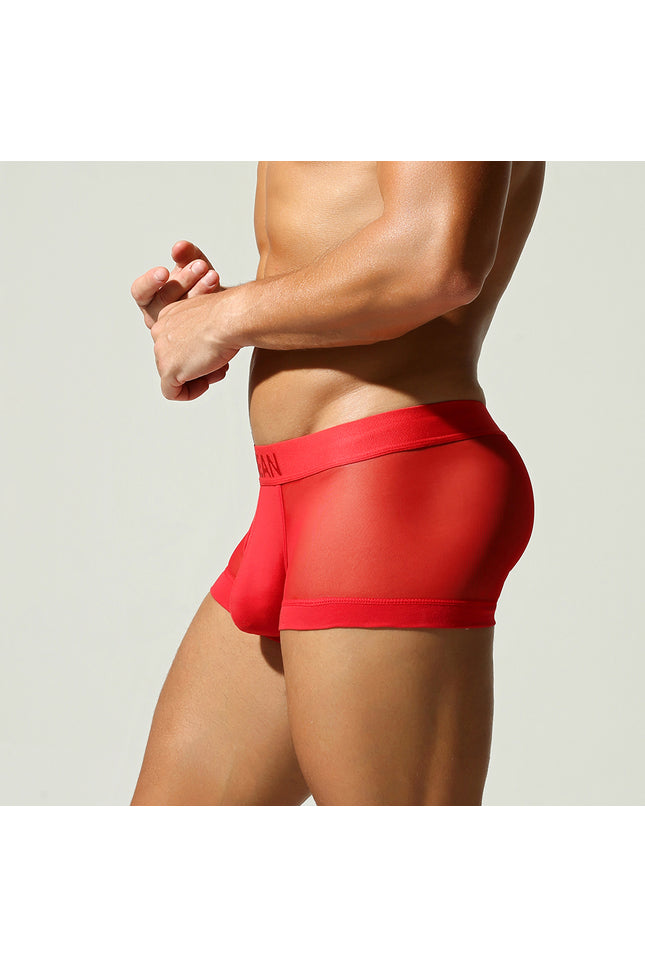 Net Mesh Boxer Briefs