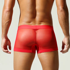 Net Mesh Boxer Briefs