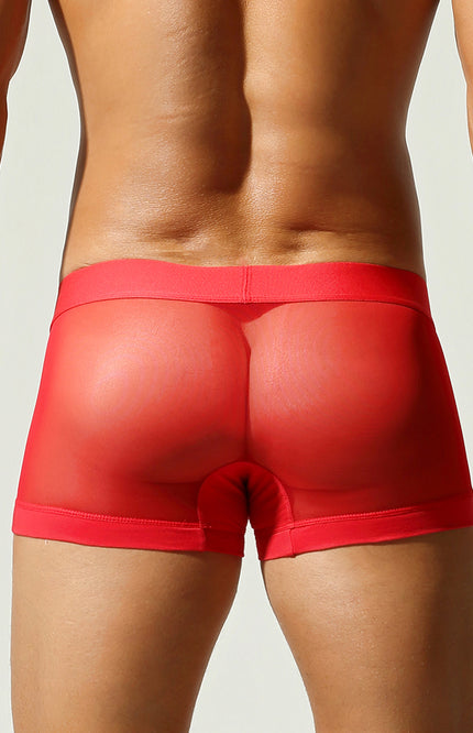Net Mesh Boxer Briefs