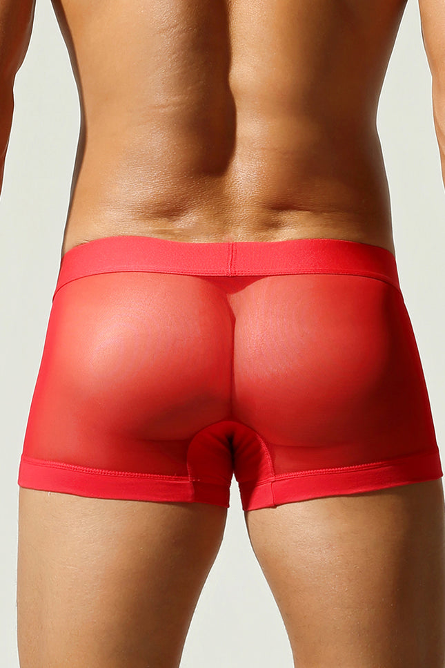 Net Mesh Boxer Briefs