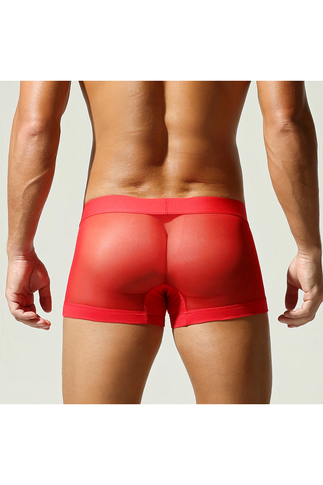 Net Mesh Boxer Briefs