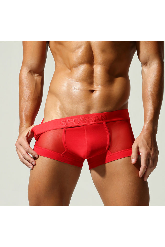 Net Mesh Boxer Briefs
