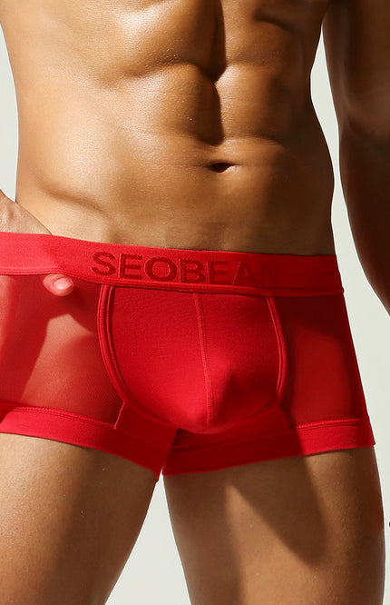 Net Mesh Boxer Briefs