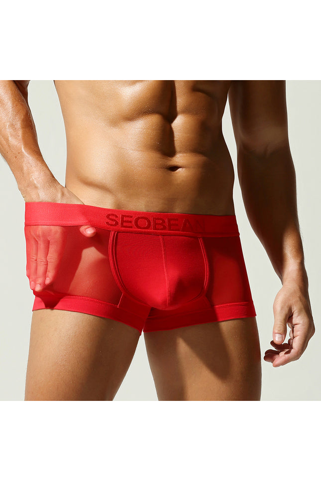 Net Mesh Boxer Briefs