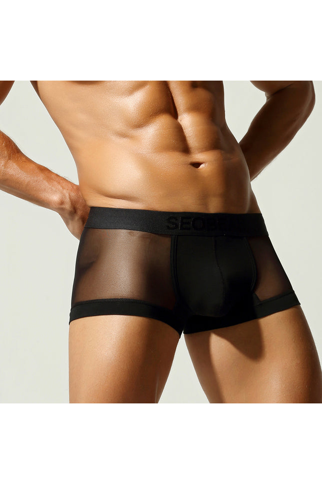 Net Mesh Boxer Briefs