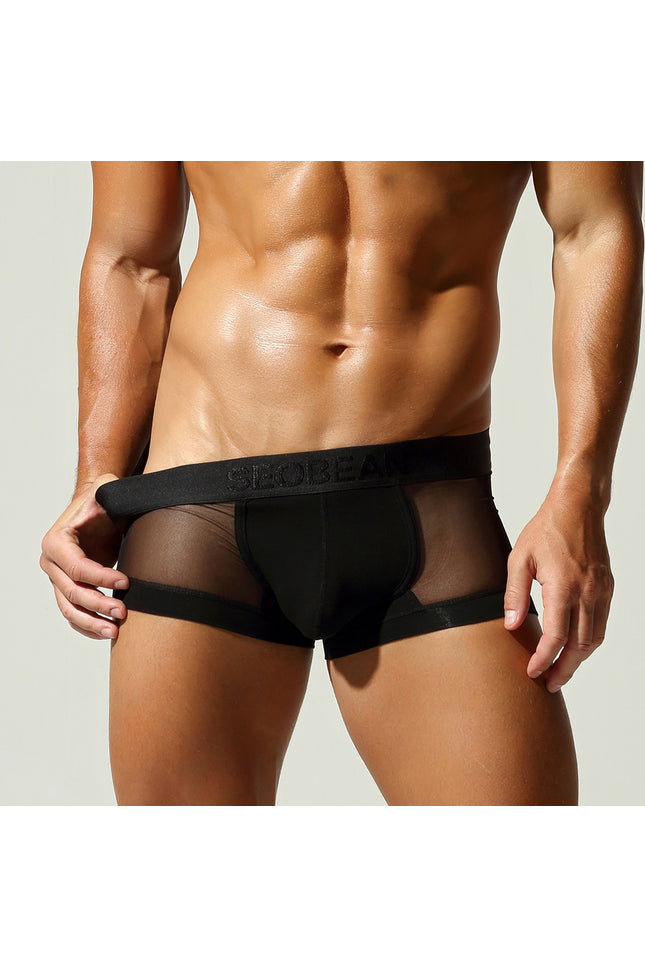 Net Mesh Boxer Briefs