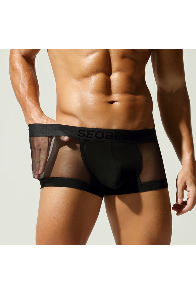 Net Mesh Boxer Briefs
