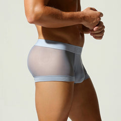 Net Mesh Boxer Briefs