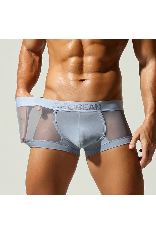 Net Mesh Boxer Briefs