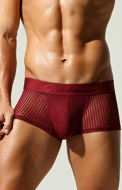 Mesh Low Rise Boxer Briefs