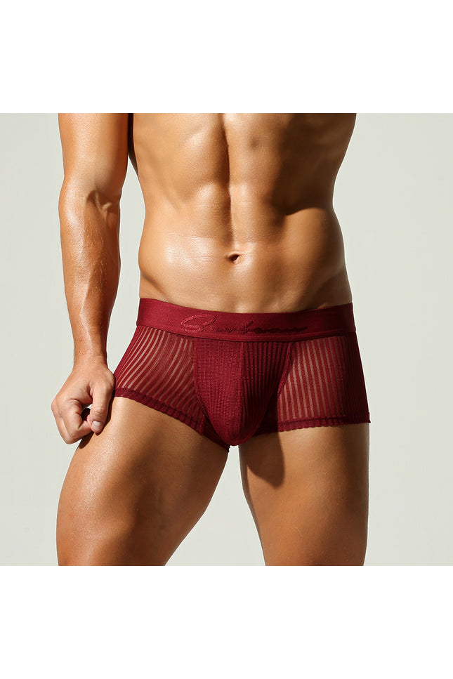 Mesh Low Rise Boxer Briefs