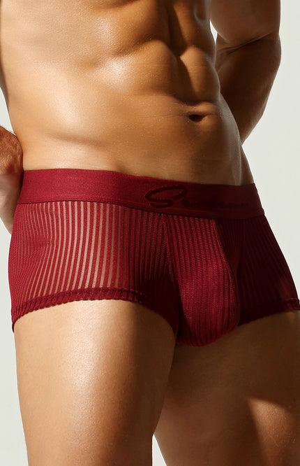 Mesh Low Rise Boxer Briefs