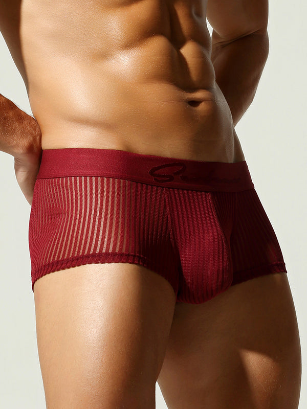 Mesh Low Rise Boxer Brief