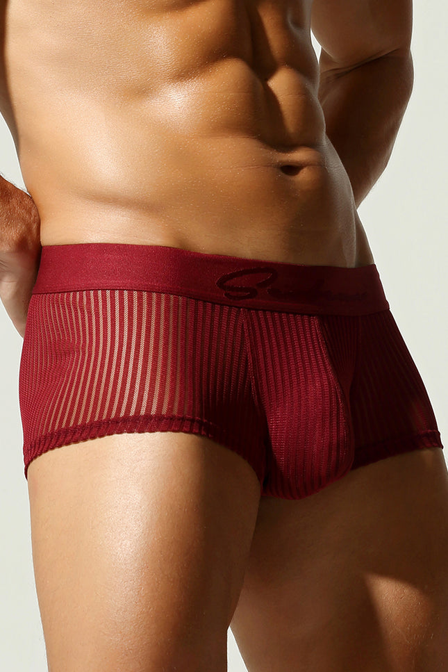 Mesh Low Rise Boxer Briefs