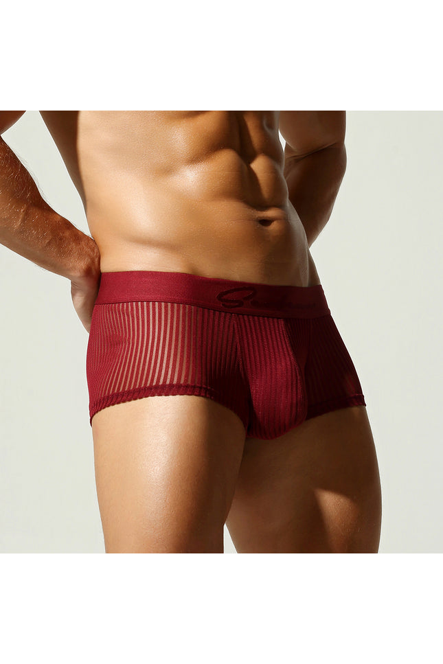 Mesh Low Rise Boxer Briefs