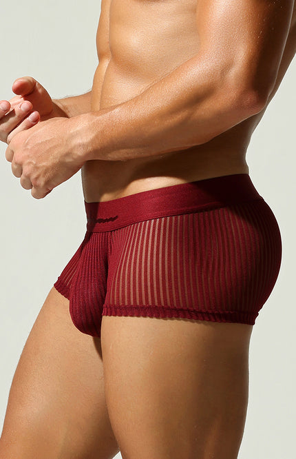 Mesh Low Rise Boxer Briefs