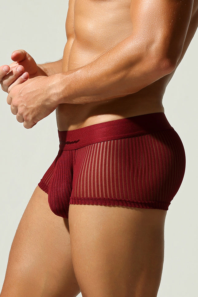 Mesh Low Rise Boxer Briefs