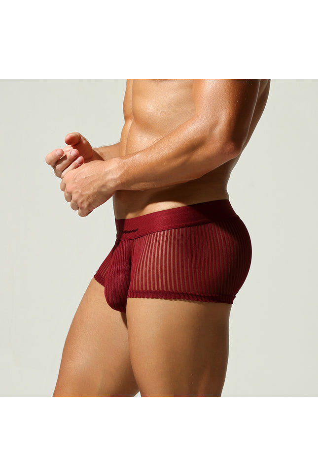 Mesh Low Rise Boxer Briefs