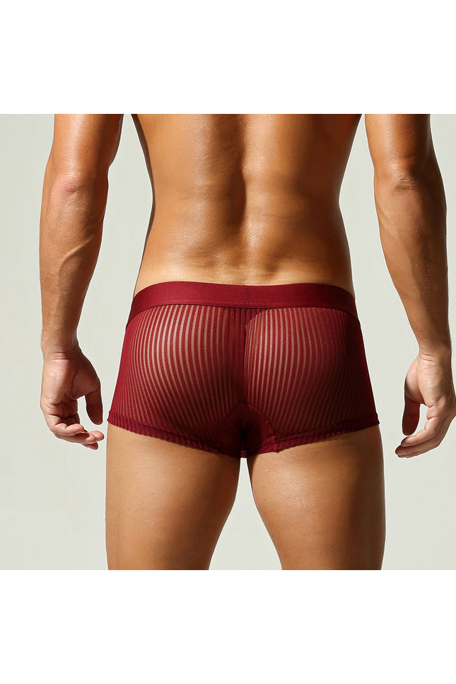 Mesh Low Rise Boxer Briefs