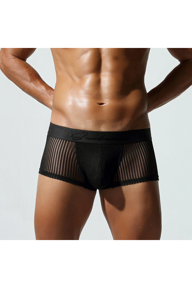 Mesh Low Rise Boxer Briefs