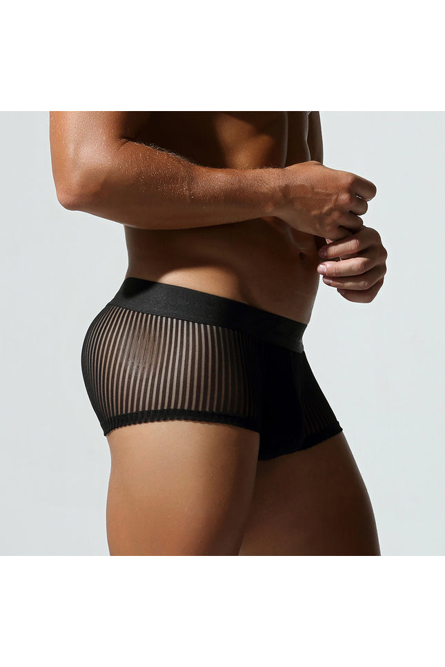 Mesh Low Rise Boxer Briefs