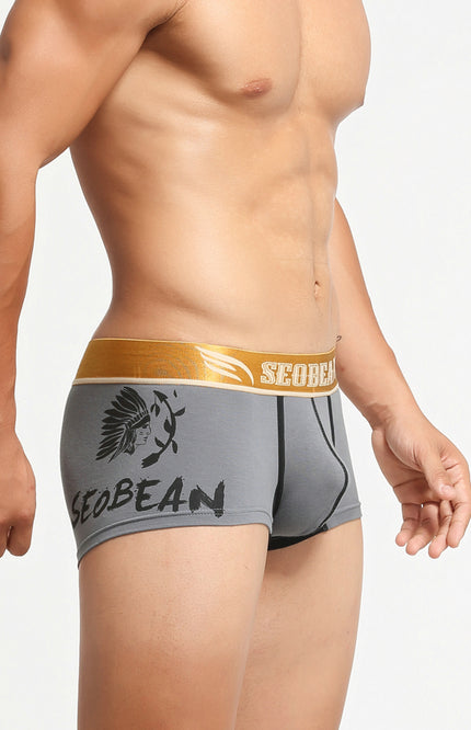 Avatar Boxer Briefs