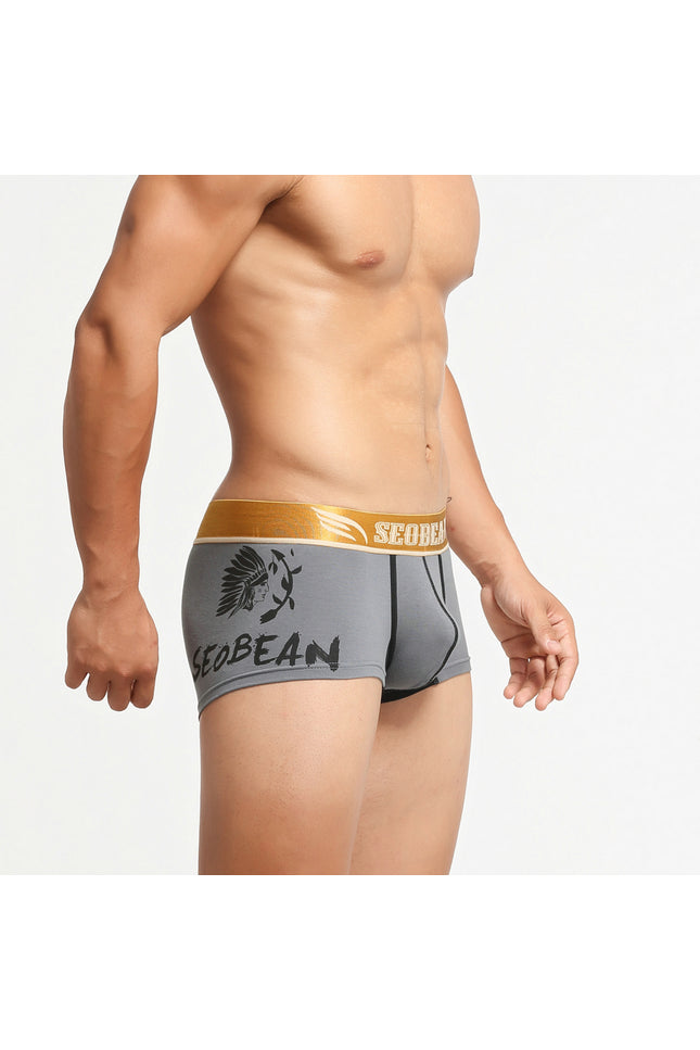Avatar Boxer Briefs