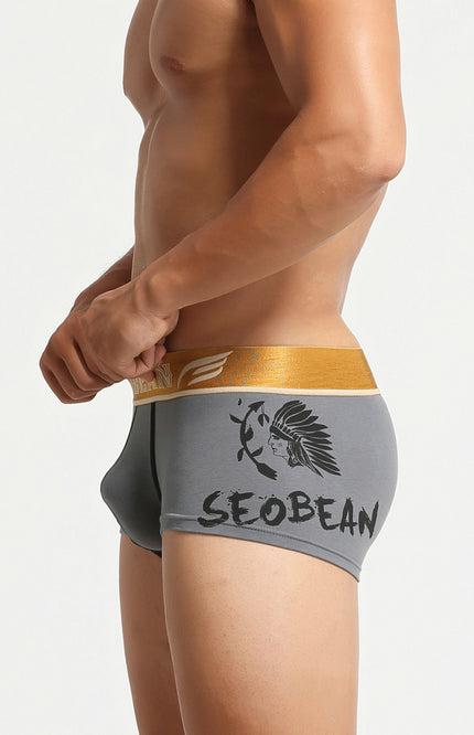 Avatar Boxer Briefs