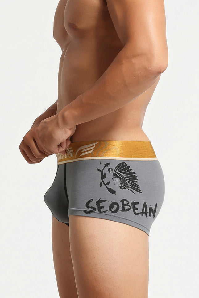 Avatar Boxer Briefs