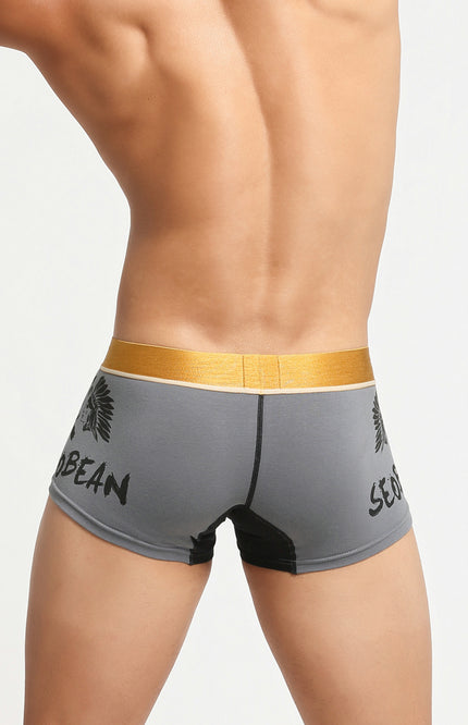 Avatar Boxer Briefs