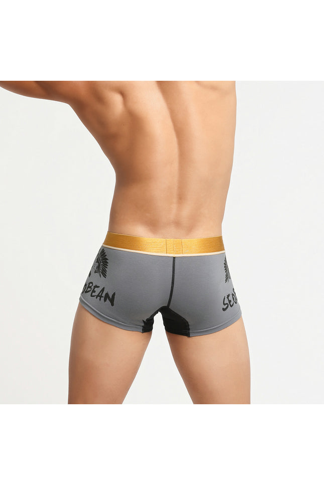 Avatar Boxer Briefs