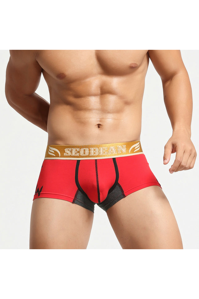 Avatar Boxer Briefs