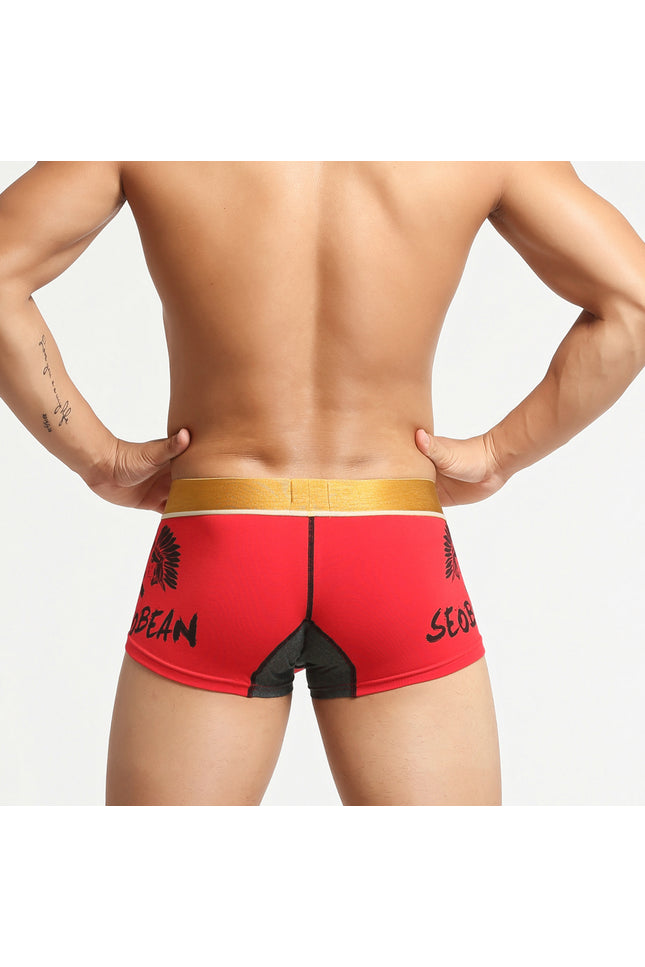 Avatar Boxer Briefs