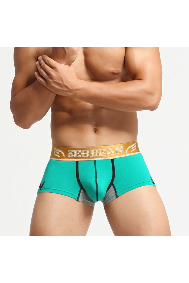 Avatar Boxer Briefs