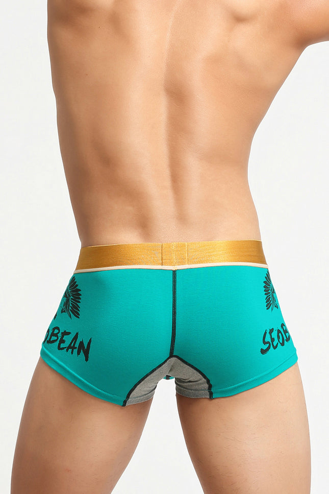 Avatar Boxer Briefs