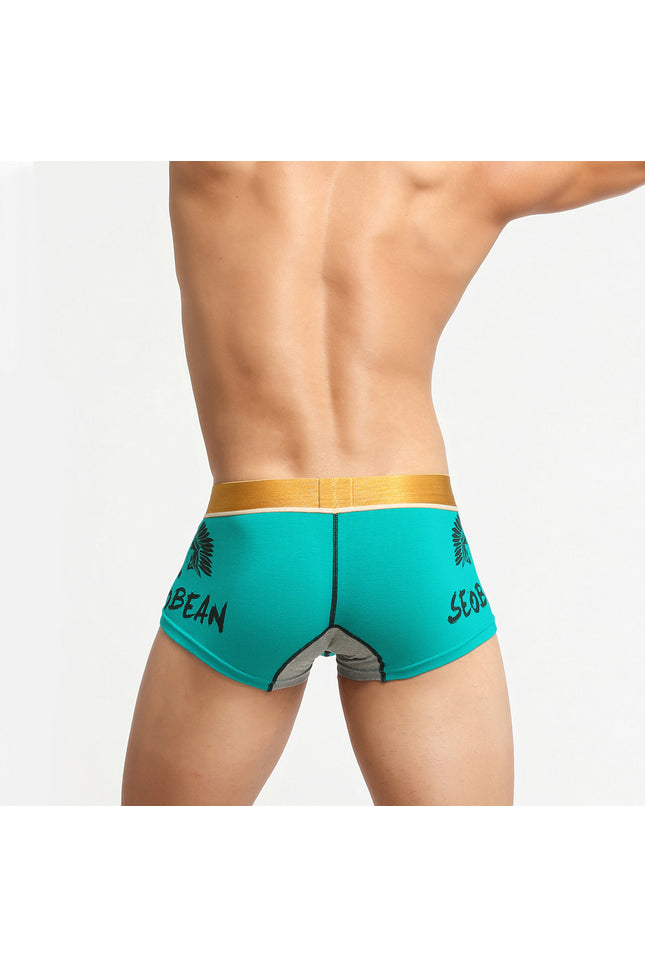 Avatar Boxer Briefs