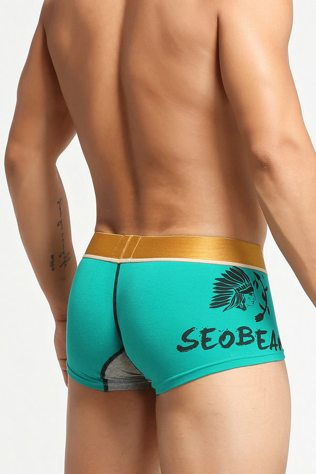 Avatar Boxer Briefs