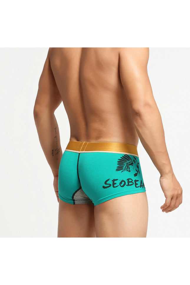 Avatar Boxer Briefs