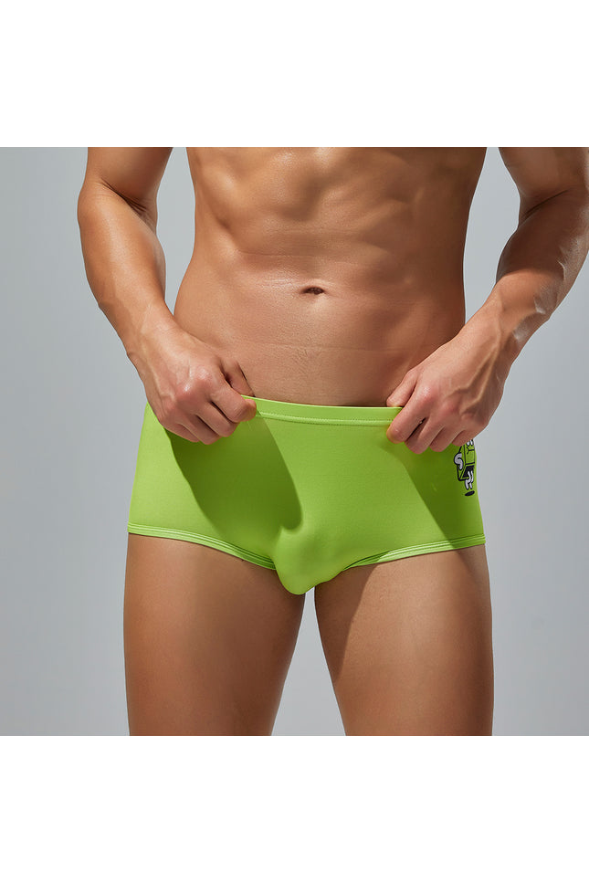 Printed Boxer Briefs