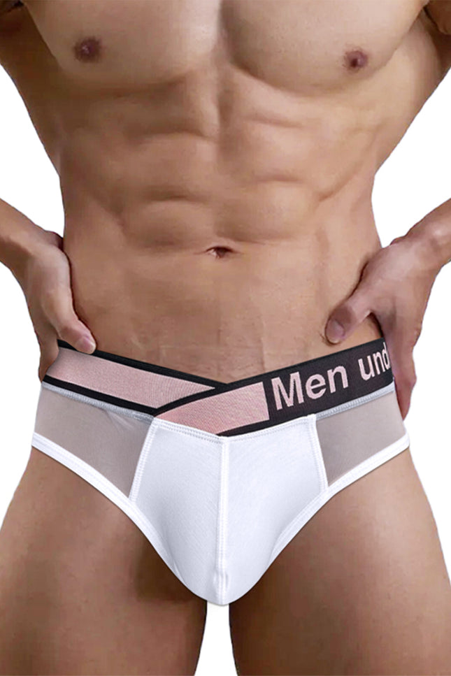 CloudFit- Sakura Net mesh Modal Briefs