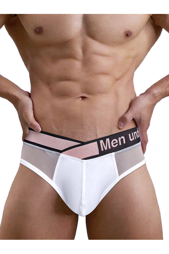 CloudFit- Sakura Net mesh Modal Briefs